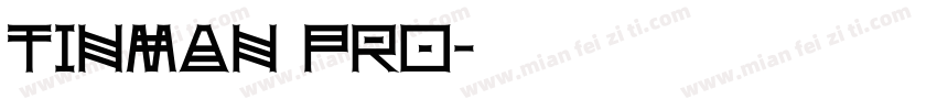 Tinman Pro字体转换